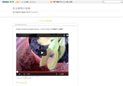 食虫植物の動画