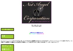 Net Angel