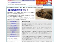 猫の皮膚病が治った！